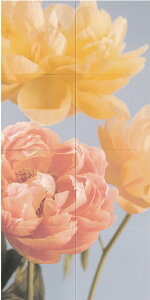 ECSF-1260S/120AECSF-1260M/120(tւp)GRJbgZt Flower }OlbgtGRJbgvX ǃ^C ELbցEgCEQDIYɂ߁bA[g CeA  