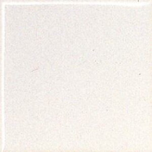 �ϓ��Q���^�C�� ���x�C�i 100�p�� �u���C�g�ցi8���Z�b�g�j NP-100/C[�o��]