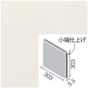 ECP-3031T/NTC1FNmnizCgj@GRJbgvX@j[gX@ 303pЖʏ[dグ