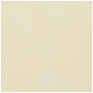 �G�R�J���b�g�v���X �j���[�g�����X 303�p��(�t���b�g) ECP-303/NTC2FN�i�x�[�W���j