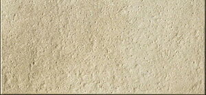 ECP-315/TNH2mP[Xn@GRJbgvX̂́i͐FFꂢj 303×151p