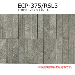 ECP-375/RSL1`3@GRJbgvX@uX[g@303×75p@ L ǃ^C   gC DIYΉ  Ǎ {