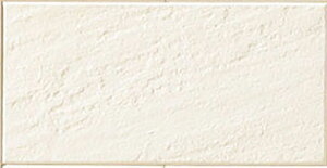 ECP-315/STN1�i�A�C�{���[�j�m���n�@�G�R�J���b�g�v���X�@�X�g�[��II�@ 303x151�p��