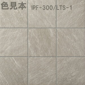 CgX[g IPF-300/LTS-Fmn@300mmp@O^C