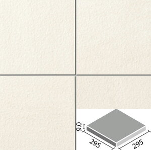 ZoTg 300mmp IPF-300/CBT-1