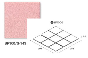 KY^C XyN SP100/S-143 100pZbg ^C