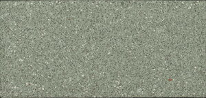 tW[V[Y 200×100p i4ZbgjFK-2010/M10iI[uO[j