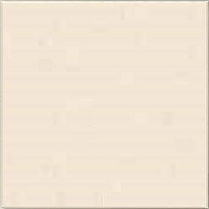 �r�I�e�B�J 100�p���i6���Z�b�g�j�n�C�h���e�N�g�^�C��AA10#H06�J���[�F�x�[�W��