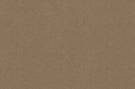 TOTO ハイドロセラ・フロア PU(薄型) 600x900角 平（ブラウンN）AB690BR#HB2