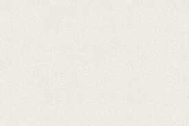TOTO ハイドロセラ・フロア PU(薄型) 600x800角 平 （ホワイトN） AB680BR#HB4