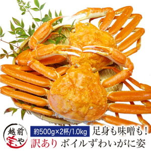 【月間優良ショップ受賞】 ボイル ズワイガニ 姿 1.0kg(500g×2杯) カナダ産 かに カニ 海鮮鍋 セット 鍋セット【冷凍】カニ専門店 送料無料 カニ かにみそ かに鍋 カニしゃぶ 蟹焼き ギフト 贈