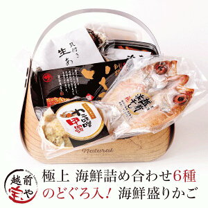 Mtg ԗDǃVbv܁ C̕ CN 肩 6 Zbg yⓀẑǂ    ɖXb T[Ђ JjX    v[g 蕨