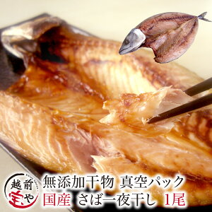 ԗDǃVbv܁ ^  J  ^pbN 1yⓀz 1 I To 銱