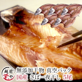 ★月間優良ショップ受賞★ 真空 さば 国産 干物セット 1尾×5パック セット【冷凍】 干物 1位 鯖 サバ 一夜干し