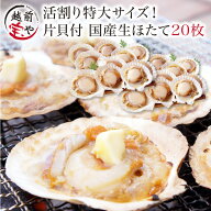 ★月間優良ショップ受賞★ ホタテ 20枚入 送料無料 片貝 殻付き ウロ（中腸腺）処理済み バーベキュー BB…