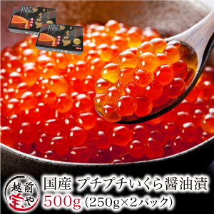 ԗDǃVbv܁ Mtg uh  ݖЂ  500g kCY JXyⓀzMtg  j j j  a v[g 芪 CN