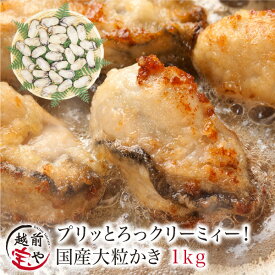 ★月間優良ショップ受賞★ 大粒 かき カキ 牡蠣 1.0kg(30粒前後入)L・2Lサイズ 広島産【冷凍】送料無料