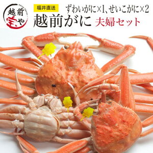 y11/26܂ł̂͂2036,000~ z zOKj YCKj 300g×1{ZCRKj 120g×2y①zzO X vw Zbg 킢  Jj  I Mtg Kj  