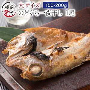 j j Mtg ԗDǃVbv܁ Mtg v[g ̂ǂ 銱 150-200g×1   mhO ̂Ǎ AJc Y yⓀzZbg 1  lߍ킹 j