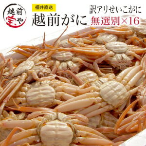 y11/26܂ł̂͂2048,800~ z zOKj ZCRKj I 16t Zbg XɁy①z zO X  Kj   ΂ I Jj  I 