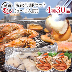 ԗDǃVbv܁ CN Zbg lߍ킹 430i (5`9lO) CNo[xL[Zbg BBQ z^e JL T[ Gr CNZbg  CNO CN  a j j