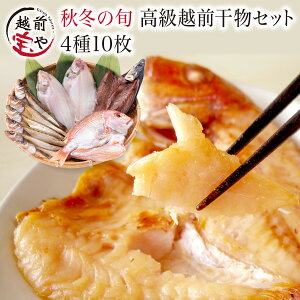 Mtg ԗDǃVbv܁ gɌf Mtg v[g  Zbg  H~ { 410 yⓀz v[g  1 銱 Zbg   j j  