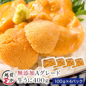 ԗDǃVbv܁ Hp  YEAO[h 400g (100g×4) yⓀzEj _O Mtg  j j  a v[g