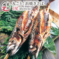 ★月間優良ショップ受賞★ 焼き鯖 福井 焼きサバ 焼きさば 浜焼きさば 1尾【冷凍】4本以上 送料無料 串刺…