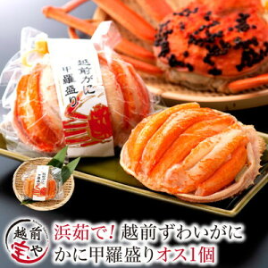 ԗDǃVbv܁ zOKj 킢 b 1  YCKj Jj  I yⓀz Mtg zO JjX  j j  a v[g 蕨 CN