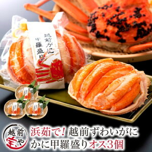 ԗDǃVbv܁ zOKj 킢 b 3Zbg  YCKj Jj  I yⓀz Mtg zO JjX  j j  a v[g 