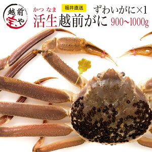 y11/26܂ł̂͂2052,000~ z   zOKj YCKj (900`1000g) 1t IXɁy①z zO X 킢 Jj  I Mtg \Kj 