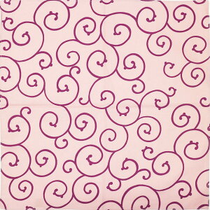  C~ ӂ낵 ͗l  48cm EXsN 炭 100  n ꏡݗp {