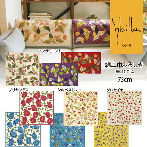 VrC~ Sybilla ȓЂӂ낵 100 75cmOZC VxXg[ GNXvVI yT~Gg R|VVI n NX