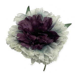 蔯 RT[W  uh ܎O q WjA fB[X