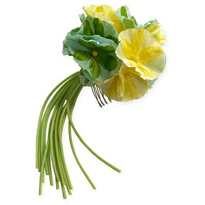  Tǒ×duh RT[W t[ fB[X Ǝ  l ܎O  ݂ p amp wAANZT[