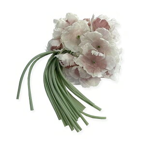  uh RT[W t[ fB[X Ǝ  l ܎O  ݂ p amp wAANZT[