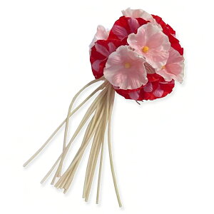  Tǒ×duh RT[W t[ fB[X Ǝ  l ܎O  ݂ p amp wAANZT[