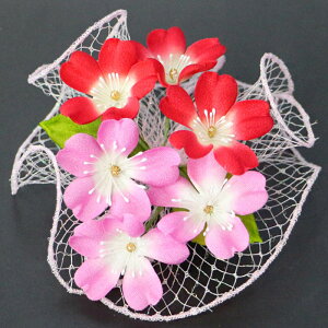  ԏ R[񂴂 ܎O  3 7 \OQ l U 