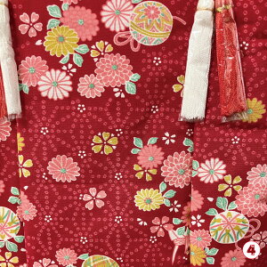 zR[g Ԍn 3Ηp Ђ