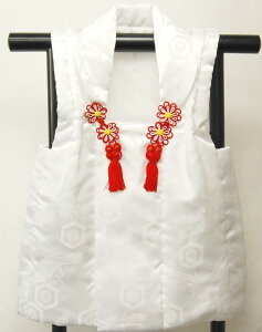 zR[g  3Ηp 46cm 49cm ܎O  Ђ 