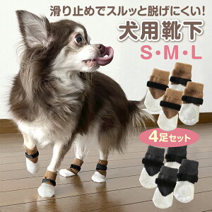 yyV1ʊl!!zyr[œTzzz  C ~ EȂ 4Zbg }WbNe[v t  rߖh~  ybg p hbO \bNX C pC ̌C 