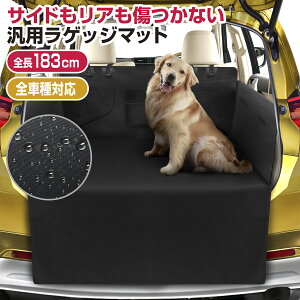 yr[œTzz!!z QbW}bg h ybg   gN QbW V[g }bg hCuV[g gN}bg gNV[g QbWV[g ԗpV[g 