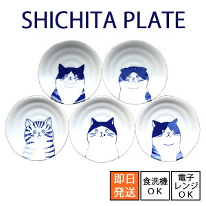 y11/20 20:00`11/27 1:59 |Cg5{zy[zSHICHITA V`^@100PLATEya10cmzE120PLATEya12cmzE160PLATEya16cmz S5[Z {] dqWEH@gp\ M  H 