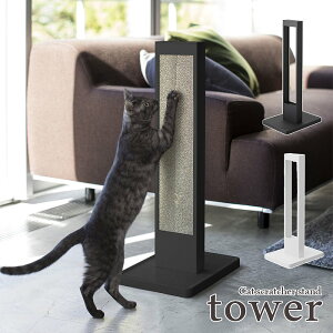 ytower / ^[zL̒܂ƂX^h@zCgEubNk  Vv mg[ t` X^CbV ybgpi ybgObY L Lbg XNb`[P[X scratcher