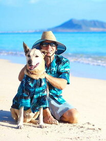DOG Wear Robert J Clancey　Aloha Shirt ロバート・ジェイ・クランシー 犬　アロハシャツ　飼い主とお揃い　ドッグウェアー 可愛い 犬のお洋服　いぬ