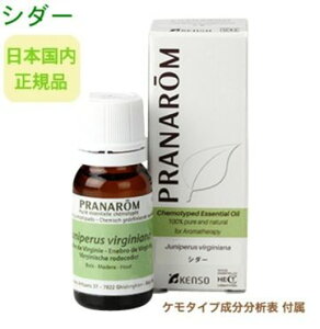 vi V_[ 10ml S̐KA ɂčĔ_򌟍 P^Cv͕\t 100VR̃A}es[ P^Cv  GbZVIC I[KjbN Y 