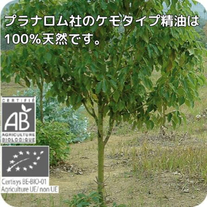 楽天市場】プラナロム ラヴィンツァラ 10ml p-157 ラベンサラ ※正規品 