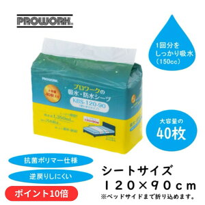 y9320`P10{zzEhV[c KBS-120-90 40-160 120×90cm p ĝ hV[c 唻TCY eʁ@pV[c@ĝā@Yf hV[g zV[g@PROWORK