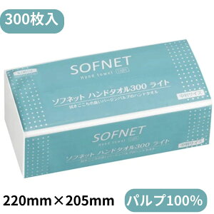 {NVA@\tlbg nh^I 300 Cg  300@36305@y[p[^I@@300@pv