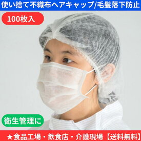 ディスポヘアネット　100枚入　モブキャップ　不織布　食品工場　見学者用　ヘアーネット　ヘアキャップ　使い捨て　ディスポ　ヘアーキャップ　キャップ　衛生　衛生帽　見学者用